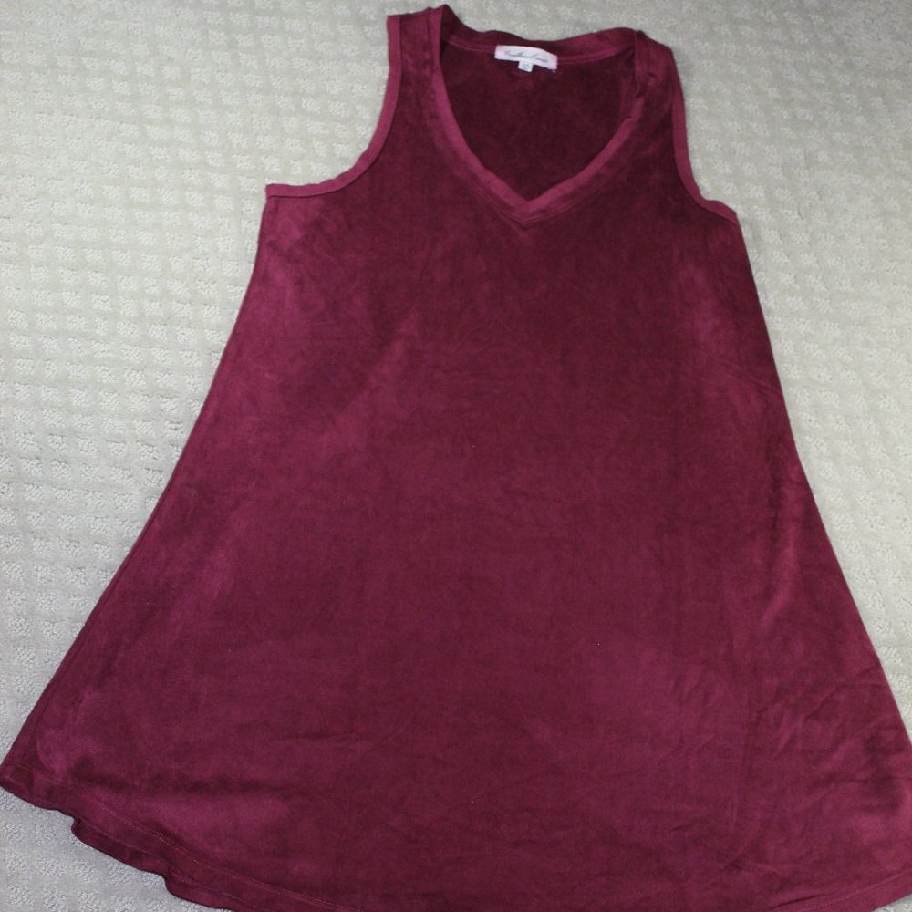 Another Love Size XS Maroon V-Neck Buttery Soft Suede-like Mini Dress